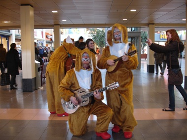 Muzikale Paashazen te boeken bij www.kwekel-evenementen.nl